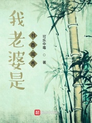 陈玄林素衣赵南初推倒章节